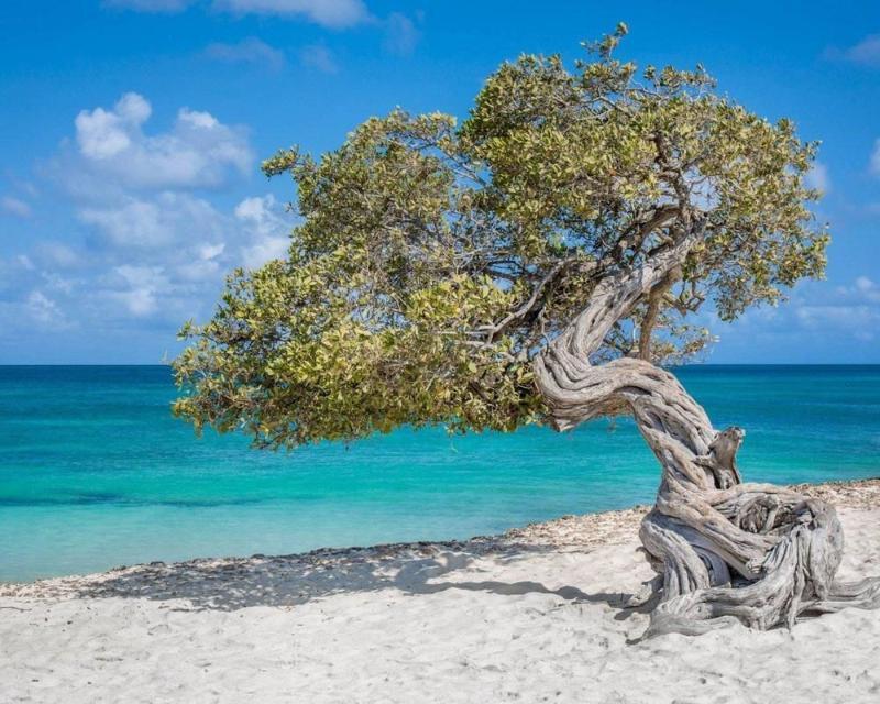 Villa Park Fontein Curacao Eksteriør billede